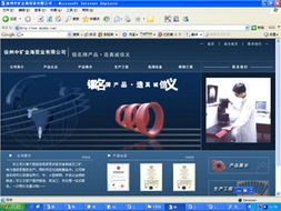 徐州網(wǎng)絡(luò)服務(wù)生態(tài)全解析 從基礎(chǔ)建設(shè)到專業(yè)推廣的一站式解決方案